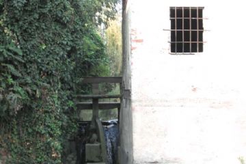 Sfoglia la galleria